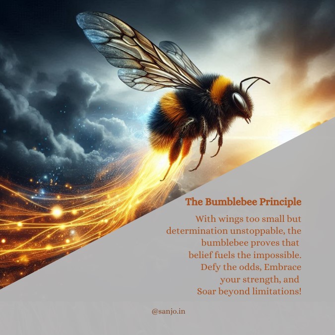 The Bumblebee Principle